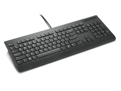Image de Lenovo 4Y41B69357 - Taille complète (100%) - filaire - USB - QWERTY - noir