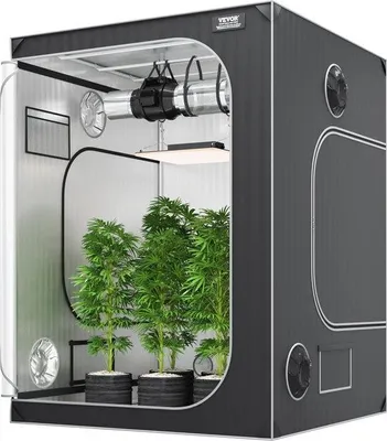 Zdjęcie produktu dla Famanu Namiot do uprawy roślin 150 x 150 x 200 cm - System hydroponiczny do uprawy w pomieszczeniach