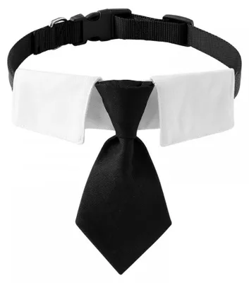 Imagen del producto de Inovra - Collar ajustable para perros - Collar formal - Hebilla metálica - Poliéster ligero - Lavable a mano - Pañuelo para perros