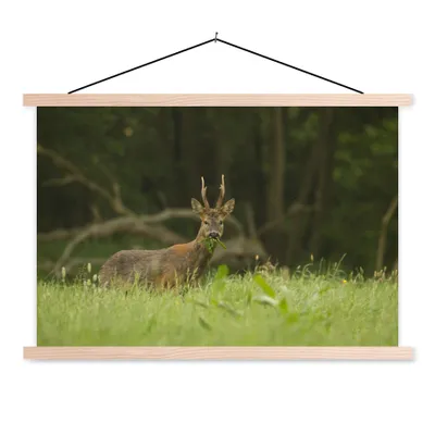 Produktbild von MuchoWow® Textilposter Hirsche - Gras - Wald 60x40 cm mit holzfarbenen Rahmen - Bilder