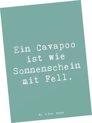 Produktbild von Mr. & Mrs. Panda Postkarte Spruch Cavapoo Sonnenschein - Meeresbrise - Geschenk, Hunderassen Vielfalt, freundliche Hunde, spruchkarte, Grußkarte, Ansichtskarte, Pflege