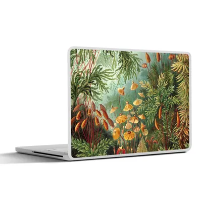 Produktbild von MuchoWow® Laptop Aufkleber Sticker Cover Alte Meister - Kunst - Muscinae - Haeckel 40x30 cm - Laptop Dekoration - Selbstklebend