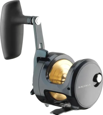 Obrázek produktu pro Daiwa 24 Saltwater L
