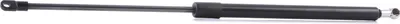 Produktbild von RIDEX 219G0605 Gasfeder Heckklappendämpfer für VW SCIROCCO (53B) 499mm