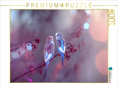 Produktbild von CALVENDO Puzzle Die Leichtigkeit des Seins | 1000 Teile Lege-Größe 64x48cm Foto-Puzzle für glückliche Stunden