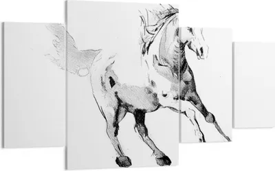 Produktbild von Bild auf Leinwand - Leinwandbild - 4 Teile - Pferd Galopp Tier - 160x90cm - Wand Bild - Wanddeko - Wandbilder - Leinwanddruck - Bilder - Wanddekoration - Leinwand bilder - Wandbild - DL160x90-5117