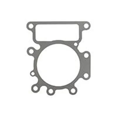 Produktbild von Zylinderkopf für Briggs & Stratton 796584. Ersetzt auch 699168.