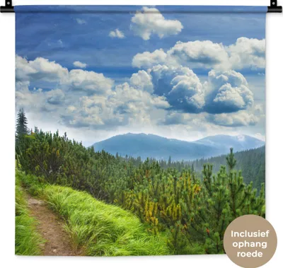 Produktbild von MuchoWow® Wandteppich Wandbehang Wald - Pfad - Berg 60x60 cm Tapisserie Dekoration Wandtuch - Dekorationen - Wand Decke