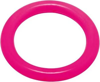 Zdjęcie produktu dla Pierścień do nurkowania Fashy 4204 różowy Ø 14 cm różowy Ø 14 cm