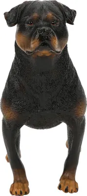 Image de Rottweiler

Simulation Model Ornaments Desktop Decoration Child Educational Toy