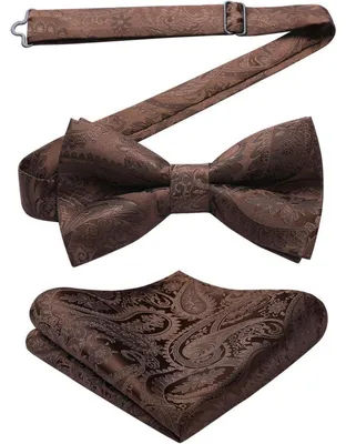 Produktbild von Fliege mit Einstecktuch für Herren, einfarbig, verstellbar, braun, Set