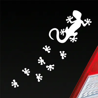 Produktbild von Auto Aufkleber Salamander Agame Echse Lizard Fußspuren 20x6 cm Weiss Glanz Sticker Heckscheibenaufkleber