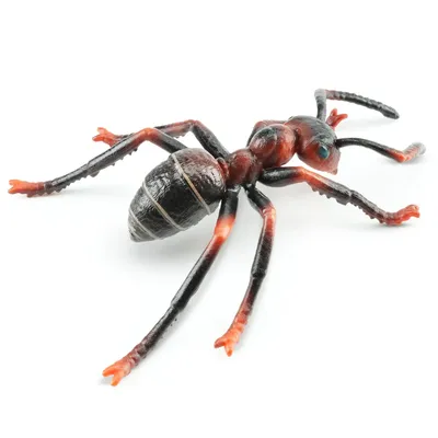 Produktbild von Toymany ML00432 Rote Feuerameise 8,4 cm Reptilienreich