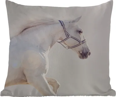 Produktbild von MuchoWow® Outdoor Kissen - Pferd - Weiß - Mähne - 40x40 cm - Wetterfest - Lounge Kissen - Kopfkissen - Interieur - Polster mit Bild