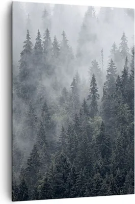 Produktbild von Bild auf Leinwand - Leinwandbild - Einteilig - Wald Baum Natur - 70x100cm - Wand Bild - Wanddeko - Wandbilder - Leinwanddruck - Kunstdruck - Wanddekoration - Leinwand bilder - Wandbild - PA70x100-4074