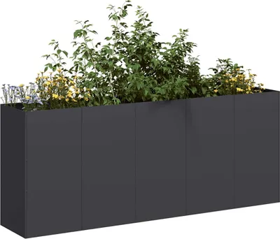 Immagine prodotto di Maison Exclusive - Vaso da fiori nero 200x40x80 cm Acciaio laminato a freddo