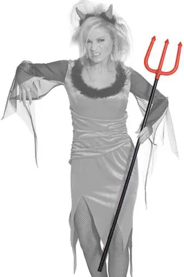 Produktbild von Teufelsgabel, 120 cm