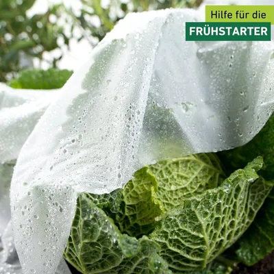 Produktbild von Windhager Frühbeet Folie perforiert 1,35 x 5 m zum Schutz vor Frost und Schädlingen
