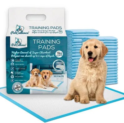 Productafbeelding van Welpen trainingspads, superabsorberend, 30 stuks, 60 x 60 cm, voor de hondentoilette