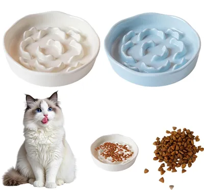 Obrázek produktu pro Miska pro kočky - Keramika - 2 ks - Modrá a bílá - 16 cm