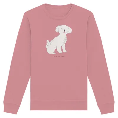 Produktbild von Mr. & Mrs. Panda Organic Pullover Bichon Frisé Moment Größe XXL - Canyon Pink - Geschenk, Sweatshirt, Bio Baumwoll, Pulli, Sweater