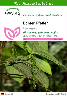 Produktbild von SAFLAX - Echter Pfeffer - Piper nigrum - 20 Samen - Mit keimfreiem Anzuchtsubstrat