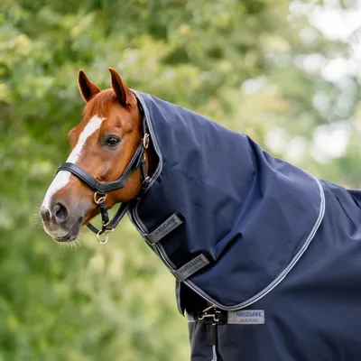 Image de Horseware Rambo Supreme Hood 0g - Taille XL - Bleu