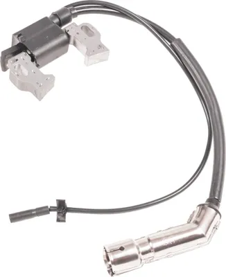 Obrázok produktu pre Zapaľovací modul generátorovej jednotky Cedrus CEDAG8E-1F 30400-Z310311-00A0