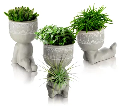 Produktbild von Blumentopf Set Beton, 3X Indoor & Outdoor Übertopf, Mini Blumentopf Gesicht und Füße für Balkon und Haus, ausgefallene Blumenübertöpfe Kopf für Sukkulenten, Kakteen, Setzlinge (Ø 6cm)