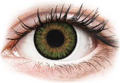 Zdjęcie produktu dla FreshLook One Day Color Green - korekcyjne (10 soczewek) Moc: -1.50, (BC): 8.60, DIA: 13.80