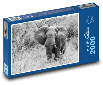 Produktbild von Puzzle 2000 Majestätischer Elefant in Afrika - martinpuzzle
