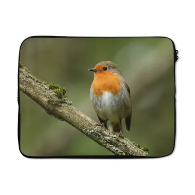 Produktbild von MuchoWow® Laptop Hülle 15 Zoll Vogel - Rotkehlchen - Zweig - Pflanzen Laptoptasche - Laptoptasche - Sleeve - Rundum-Schutz