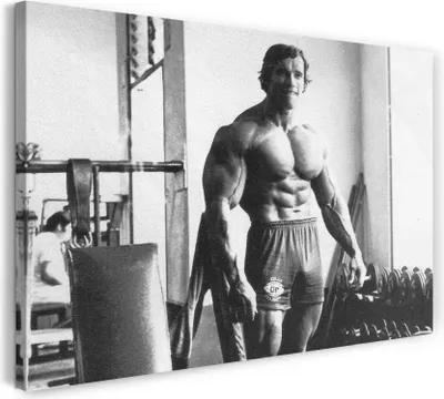 Produktbild von Leinwandbild (60x40cm): Junger Arnold Schwarzenegger im Trainingsraum Oberkörper frei, echter Holz-Keilrahmen inkl. Aufhänger, handgefertigt in Deutschland