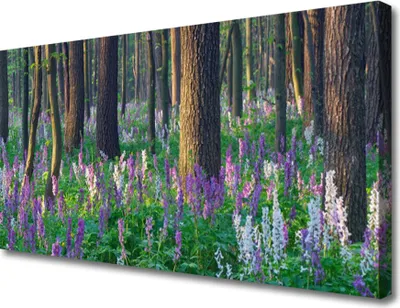 Produktbild von Tulup Leinwand-Bilder 100x50 Wandbild Canvas Kunstdruck Wald Natur