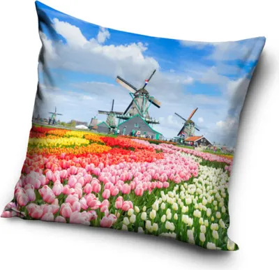 Produktbild von Städte Amsterdam Kissenbezug 40*40 cm
