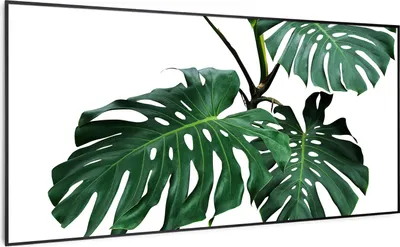 Produktbild von Klarstein Air Art Smart Infrarotheizung, Infrarot Heizung mit IoT/WiFi App-Steuerung, Erkennung Offener Fenster, Infrarotheizung mit Thermostat, Heizung zur Wandmontage, CO2-Freie Elektroheizung 700W