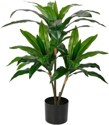 Produktbild von Unyqoos® Kunstpflanze Dracaena Fragans in Topf, 90 cm hoch, pflegeleicht für stilvolle Innenraumdekoration