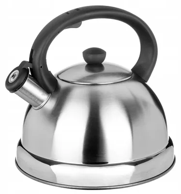 Produktbild von Brunbeste Edelstahl Wasserkocher mit Induktion 2,7 L