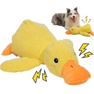 Produktbild von Hundespielzeug Plüsch mit Quietscher, robust und kauresistent, Welpenspielzeug, interaktiv, selbstunterhaltend, Zahnreinigung, waschbar, 32x28cm