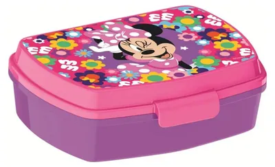 Produktbild von Disney Minnie Bold Florals witzige Kunststoff-Sandwichbox