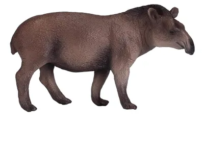 Image de Mojo Wildlife Tapir brésilien - 381023