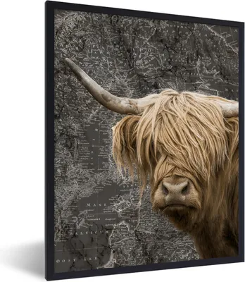 Produktbild von MuchoWow® Gerahmtes Poster Schottische Highlander - Weltkarte - Tiere 60x80 cm - Poster mit Schwarzem Bilderrahmen Wandposter Rahmen Foto Bilder - Premium - Wanddeko Wohnzimmer