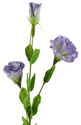 Productafbeelding van Viridis Kwiat Kunstbloem Eustoma, 70 cm, met rubberen coating