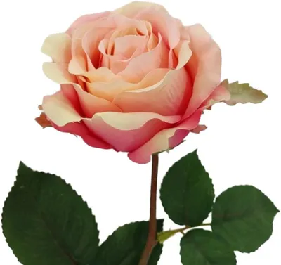 Produktbild von 2474U Künstliche Rose Peach, Deko Kunstblume pfirsichfarben, 65 cm