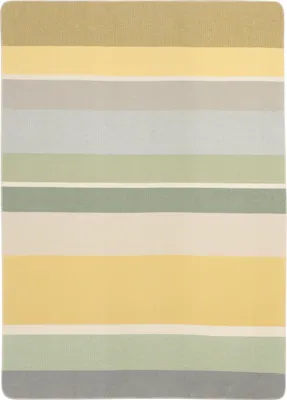Produktbild von Biederlack Plaid mit Overlocksaum Stripe Delight   Größe 150 x 200