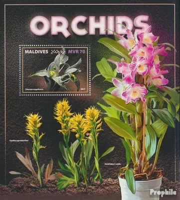 Produktbild von Briefmarken Malediven 2017 Mi Block 1107 (kompl. Ausg.) postfrisch Orchideen