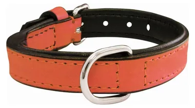 Imagen del producto de Collar para perros Gloria, con acolchado, color coral (35 x 1,5 cm)