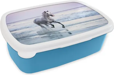 Produktbild von KitchenYeah® Lunchbox Brotzeit Brotdose 17x11 cm Pferd - Meer - Pastell Kinder Brotzeitdose - Lunch - Kunststoff  - Brotbüchse - Sandwichbox - Lunchbox für Kinder