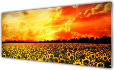 Produktbild von Küchenrückwand aus Glas 125x50cm Spritzschutz Wiese Sonnenblumen Pflanzen