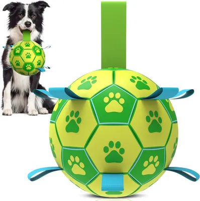 Image de Jouet pour chien avec corde, durable, de taille moyenne, adapté pour une utilisation intérieure et extérieure